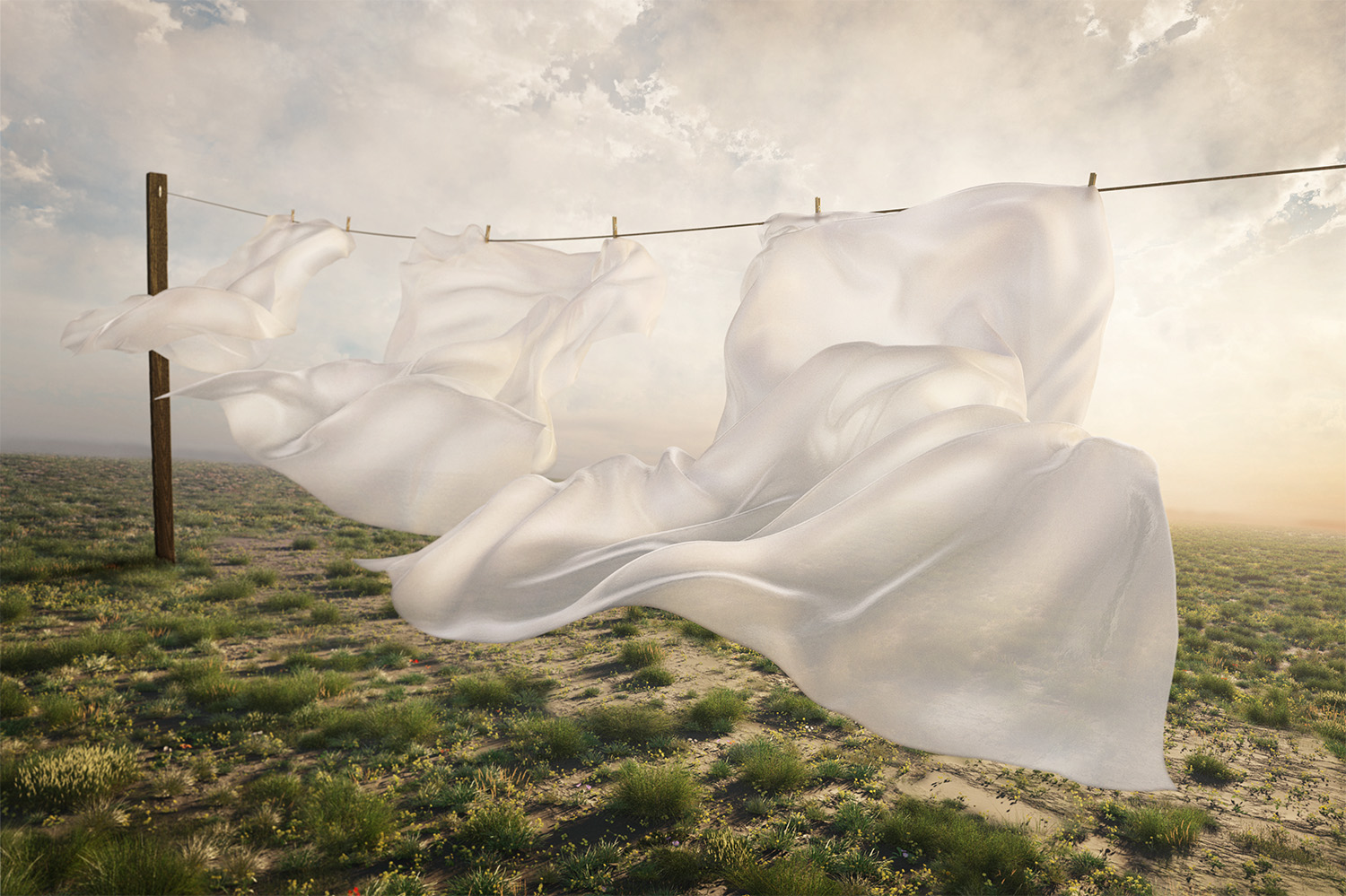 cgi — piece 08